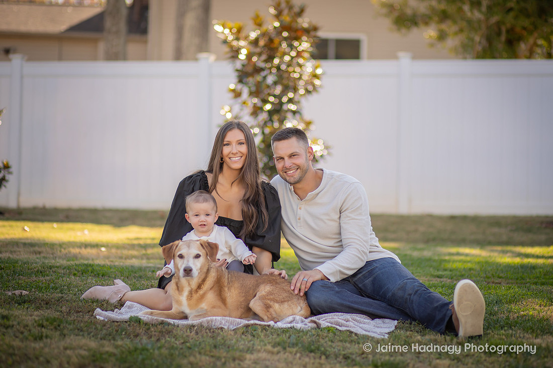 Family Photos with Baby and Dogs | Asheville Photographer