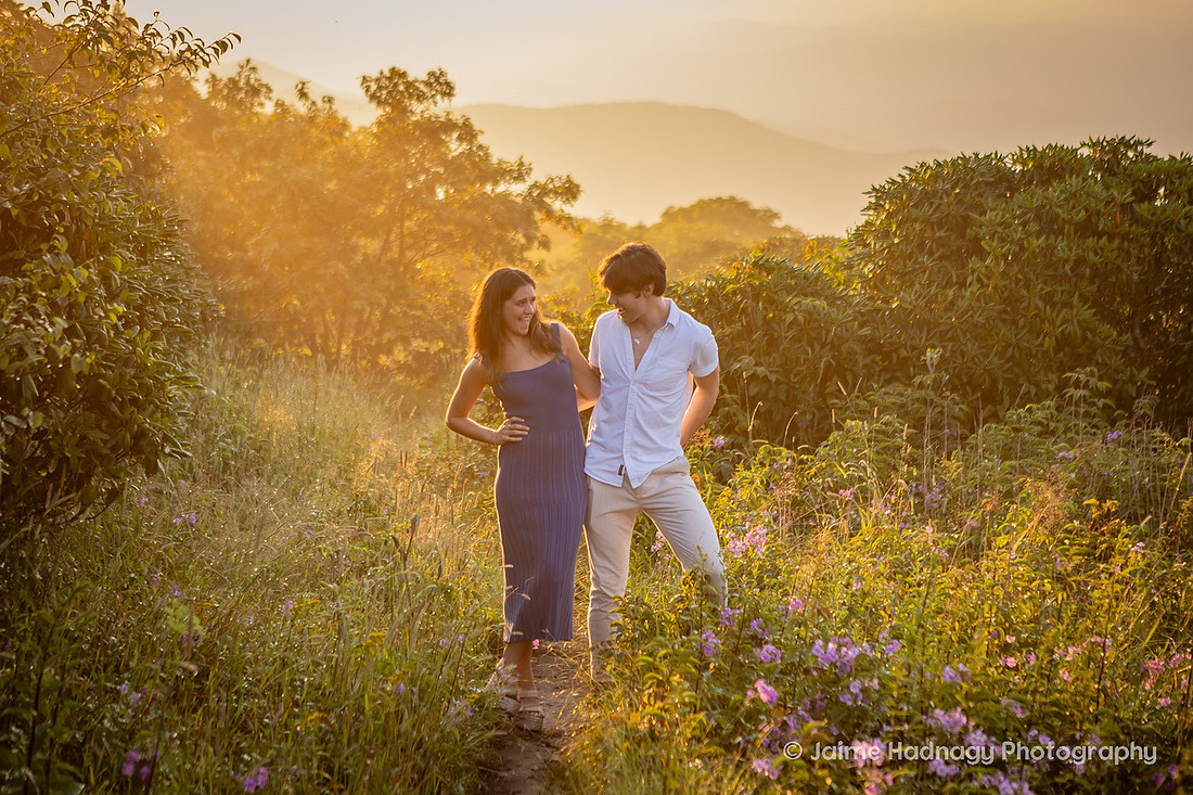 Outdoor Hiking Family Photos on the Blue Ridge Parkway Craggy Gardens | Asheville Photographer