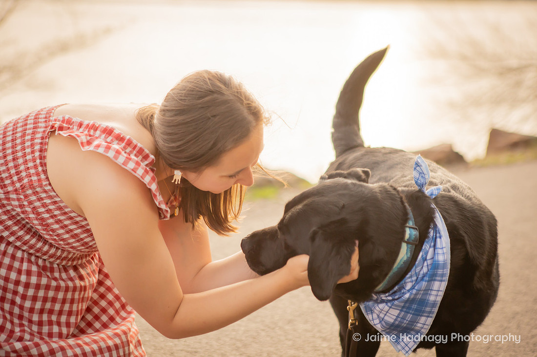 Cute Dog Photography | Asheville Pet Photographer 