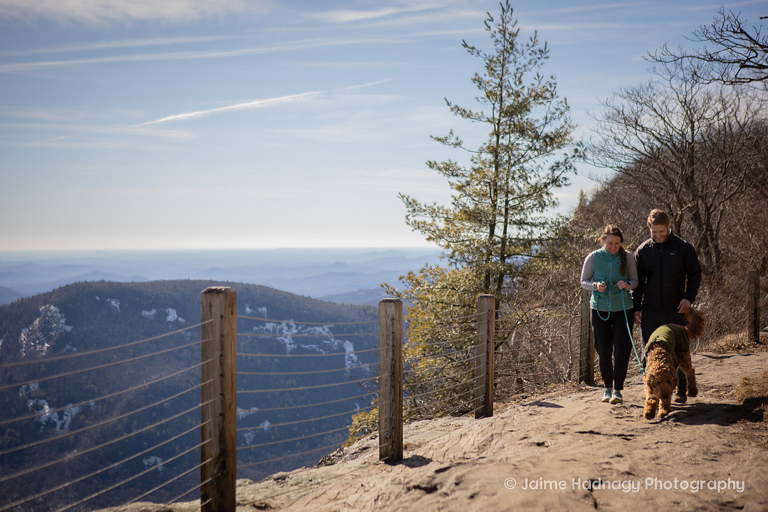 Proposal Photography in the Mountains with dog | Asheville Engagement Photographer