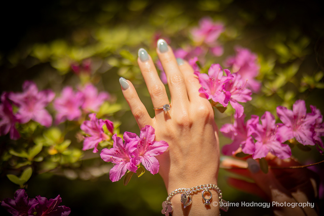 Engagement Photos in the Gardens of the Biltmore 