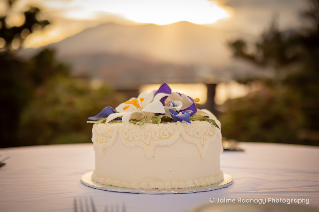 Sunset Wedding at Lake Junaluska Inspritation Point | Asheville Photographer