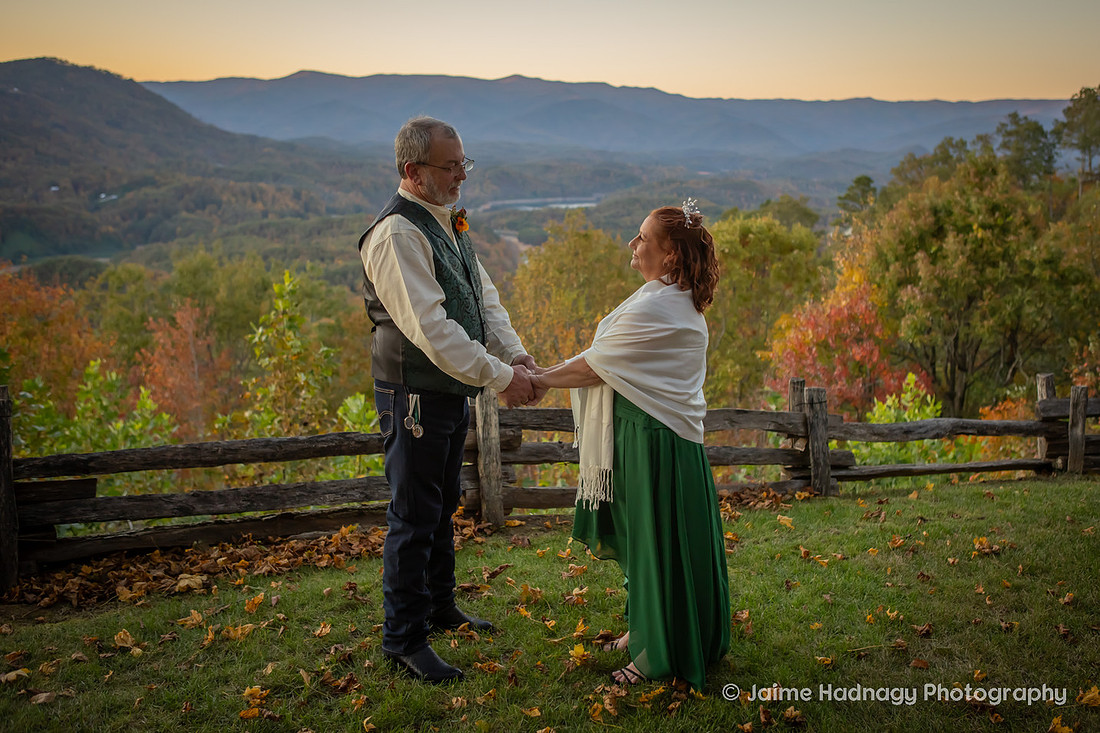 Wedding Portraits in Asheville