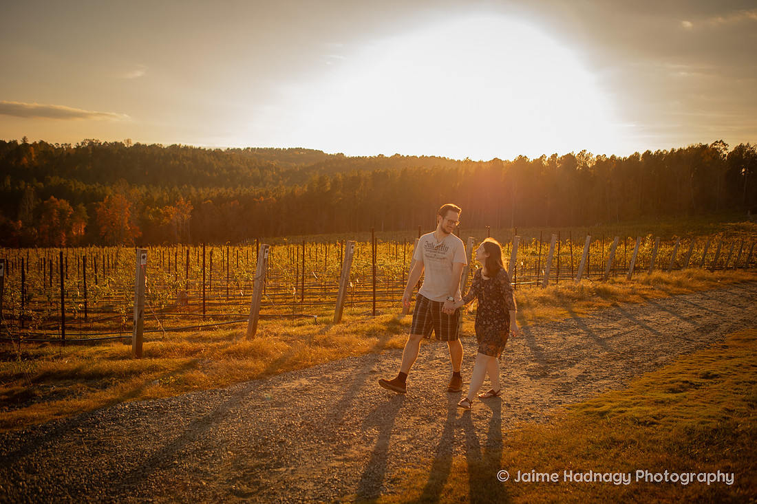 Engagement Photos at Mountain Brook Vineyards in Tryon | Asheville Proposal Photographer