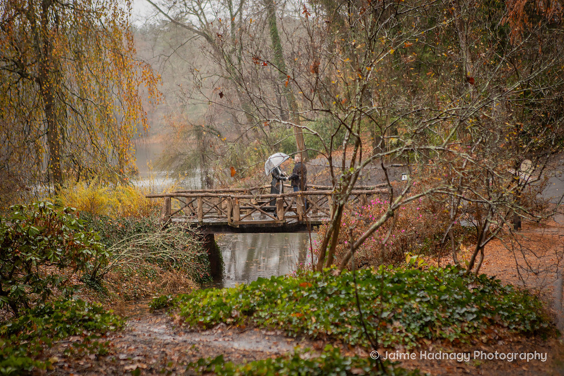 Surprise Proposal in the Rain at The Biltmore Bass Pond | Engagement Photography
