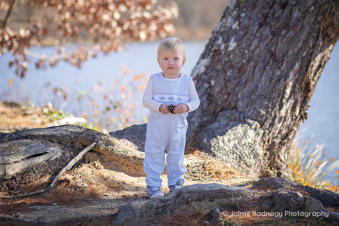 Family Photography in Asheville with One Year Old at Beaver Lake and the Bird Sanctuary