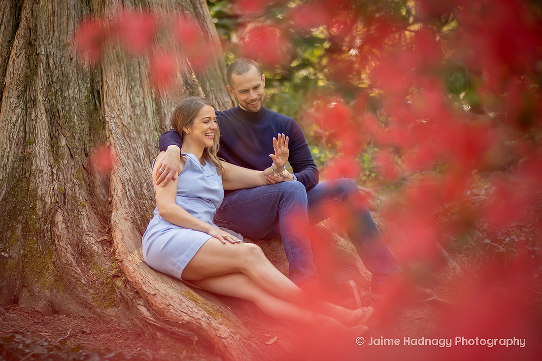 Engagement Photos in the Gardens of the Biltmore 
