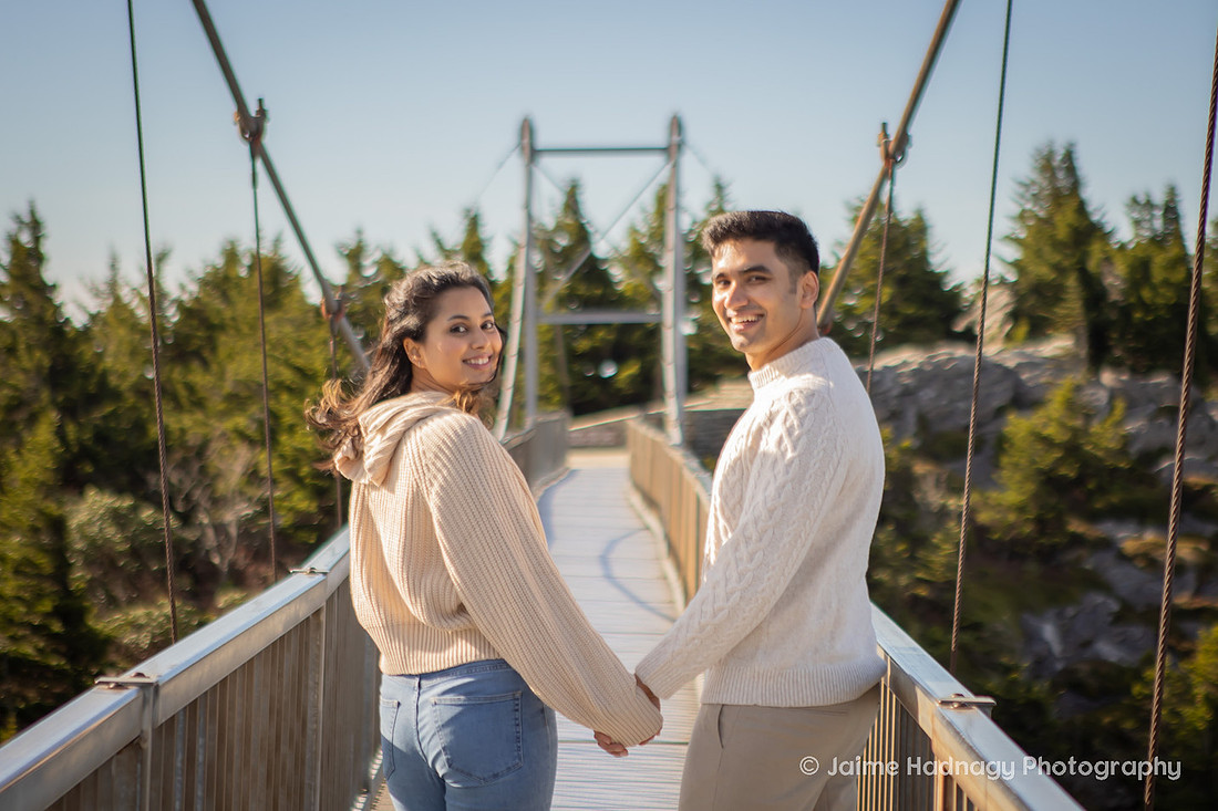 Romantic Proposal in the mountians | Asheville Photographer
