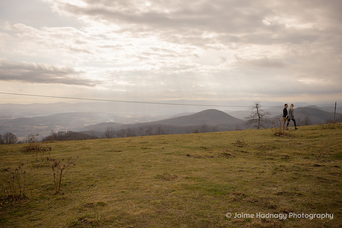 Surprise Proposal Asheville Photographer