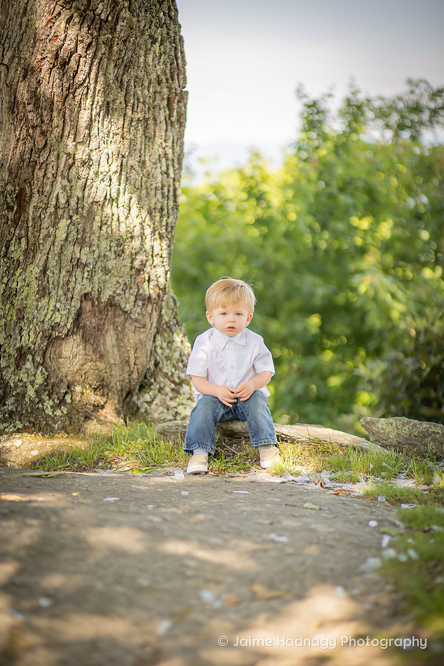 Portrait Photo Session for Adorable Toddler in the Mountains | Asheville Family Photographer