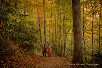 Joseph & Sophie's Engagement Session at 2 Waterfalls
