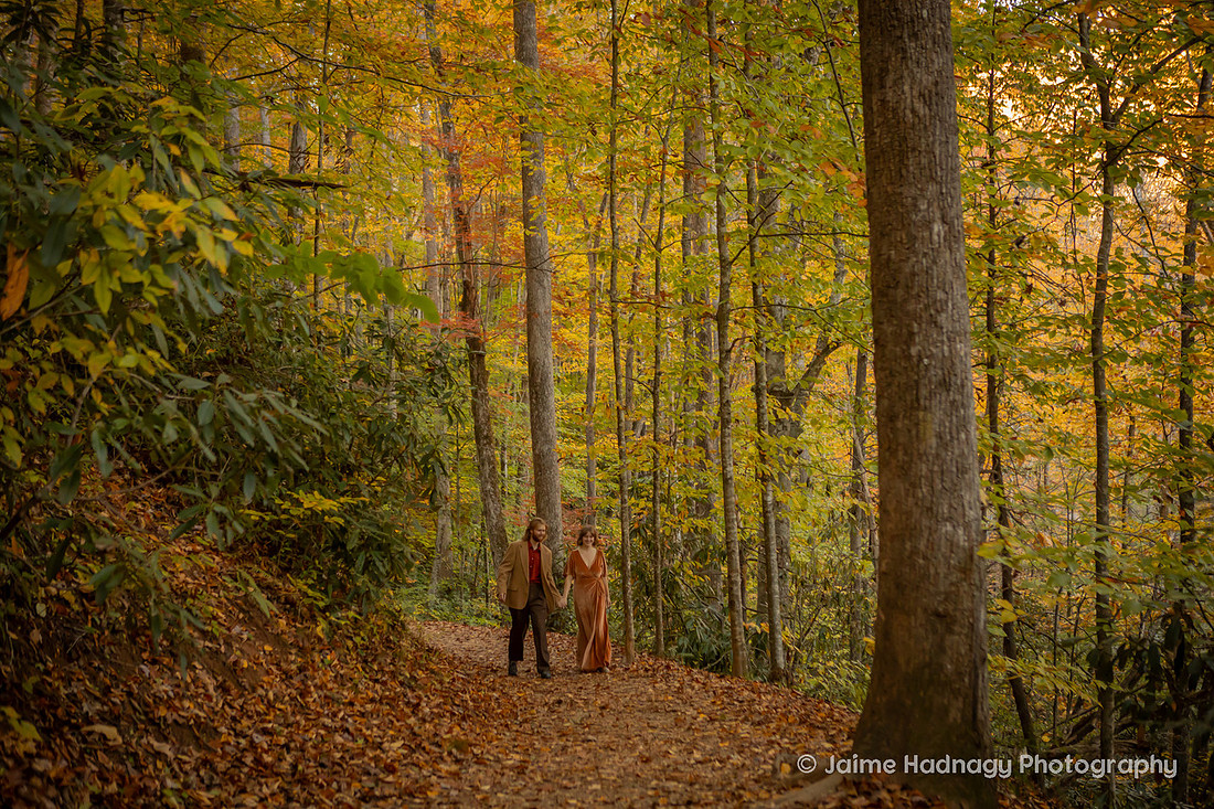Nature Lovers Hiking Engagement Session in the Forest