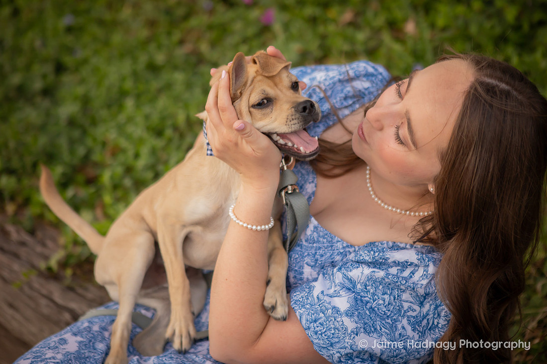 Adorable Dogs | Asheville Pet Photographer