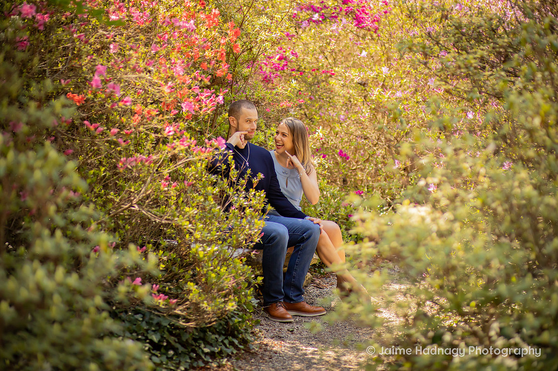 Asheville Engagement Photographer Session at Biltmore Estate Gardens
