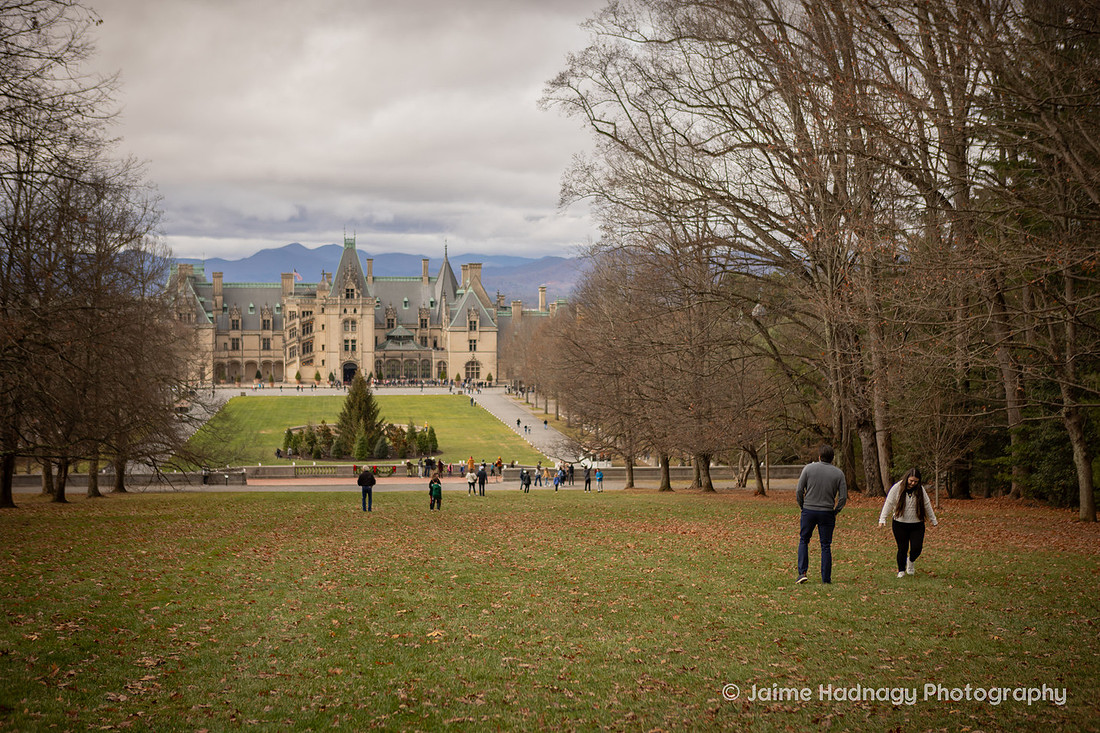 Biltmore Estate from Diana Hill