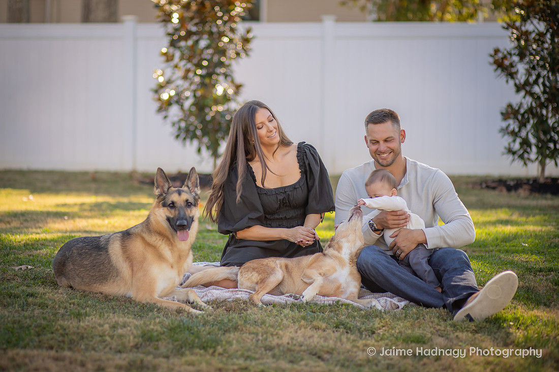 Family Photos with Baby and Dogs | Asheville Photographer