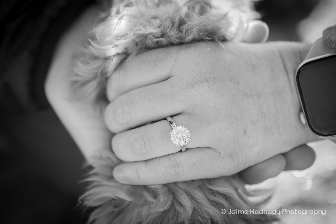 Proposal Photography in the Mountains with dog | Asheville Engagement Photographer