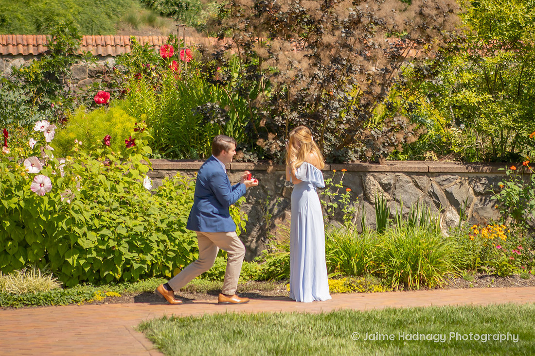 Surprise Proposal in the Walled Gardens of Biltmore Estate | Asheville Engagement Photographer