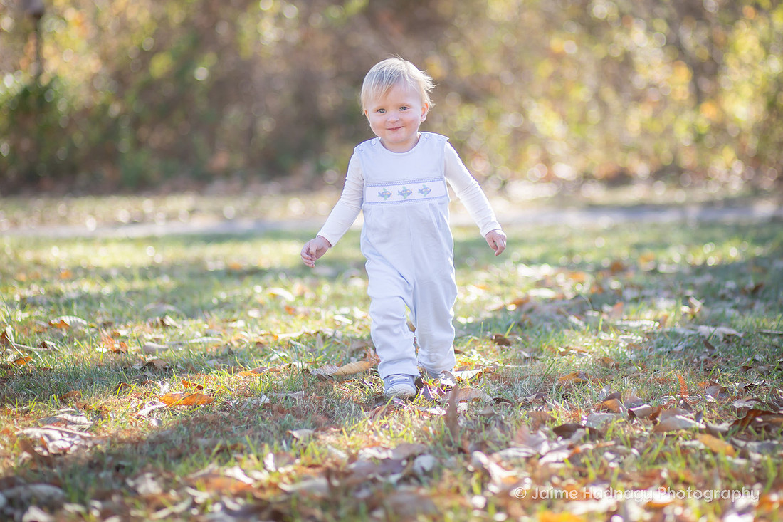Family Photography in Asheville with One Year Old at Beaver Lake and the Bird Sanctuary