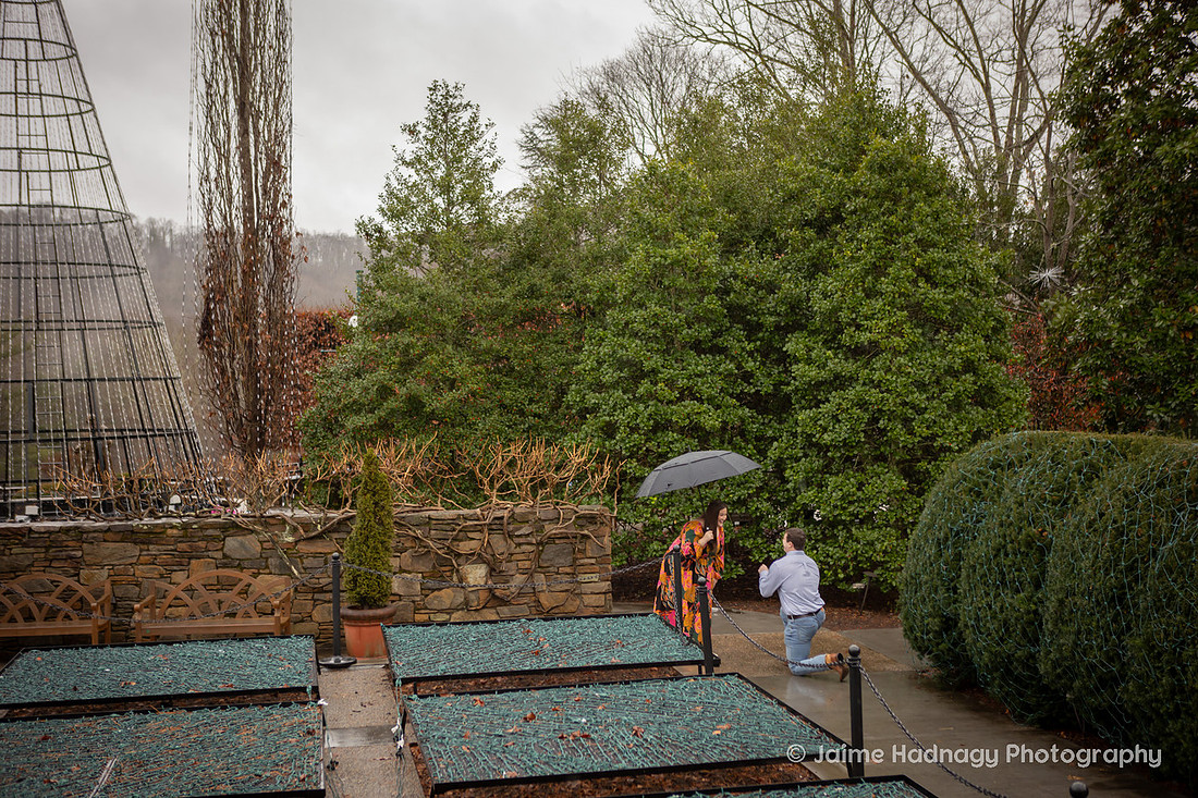 Rainy Day Proposal Photography at the Arboretum in Asheville | Engagement Photographer