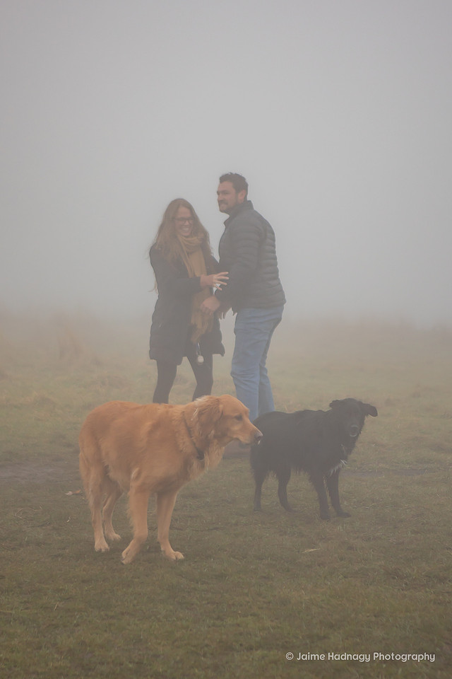 Foggy Engagement at Max Patch | Surprise Proposal Asheville Photographer