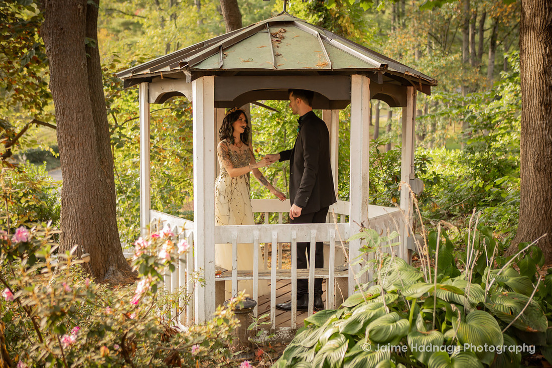 Bride and Groom Portraits by a lake | Asheville Photographer