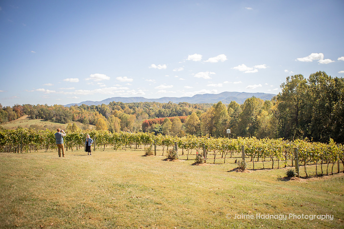 Surprise Proposal at Silverfork Vineyard | WNC Engagement Photographer