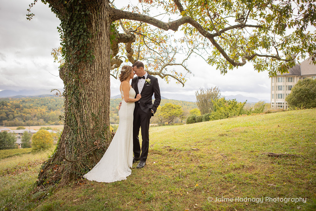 Wedding Photos at the Biltmore Estate | Asheville Photographer