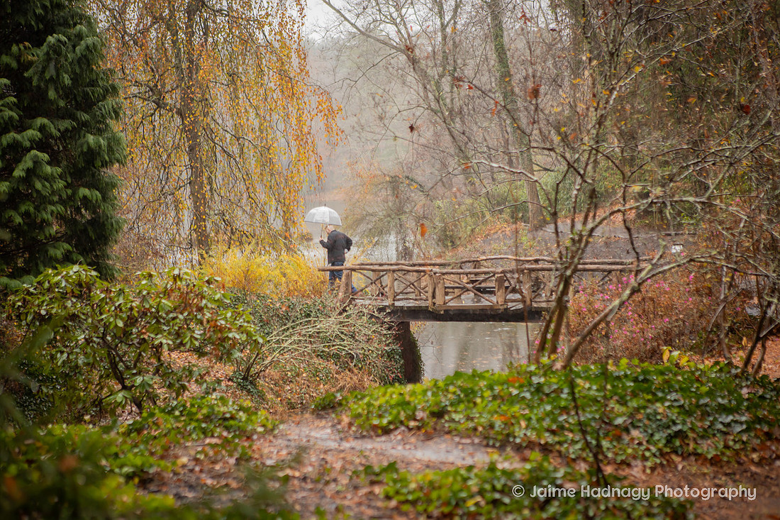 Rainy Walk at Biltmore Bass Pond