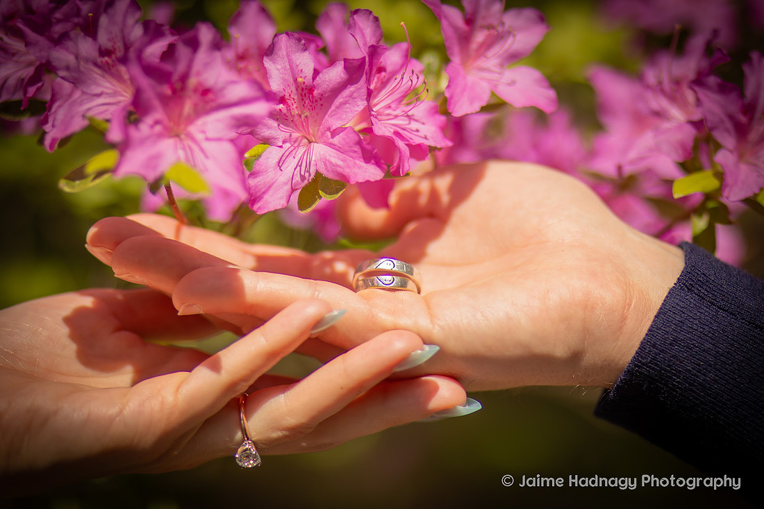 Engagement Photos in the Gardens of the Biltmore 