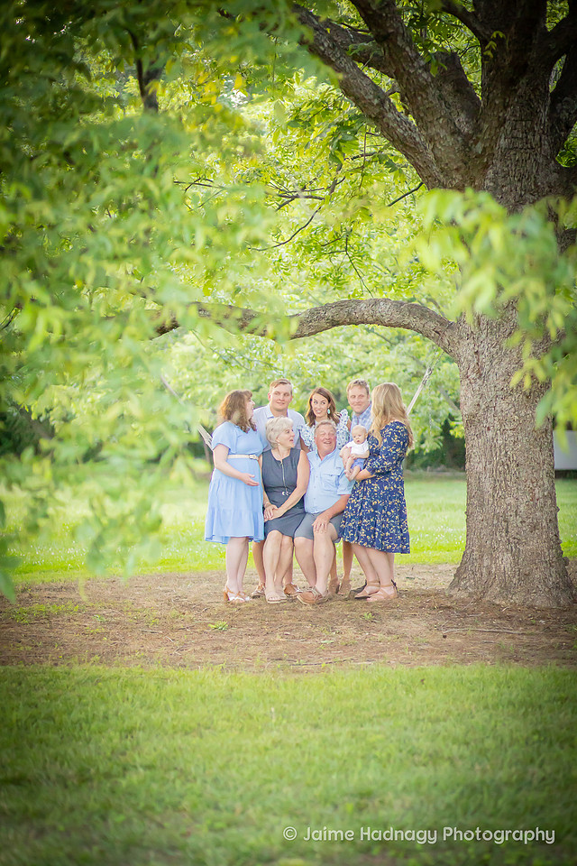 Family Reunion Photoshoot | Black Mountain Photographer