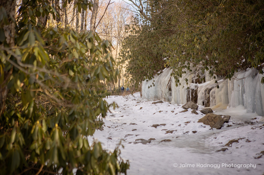 Winter Hiking Proposal | Cashiers Engagement Photographer