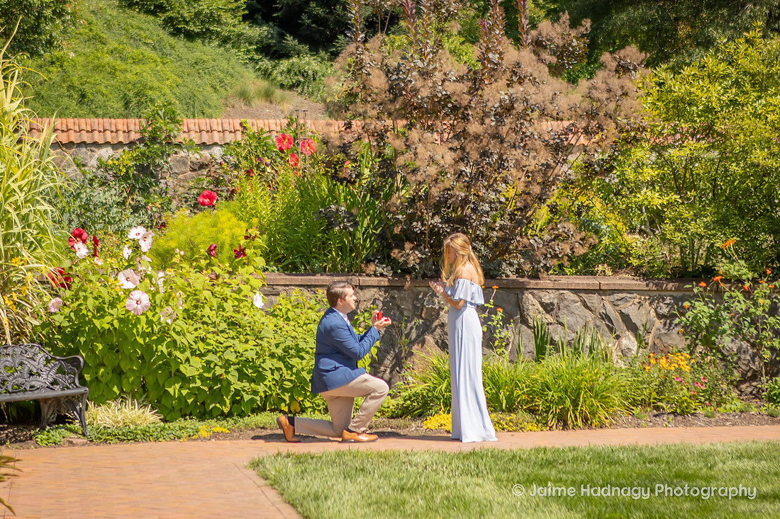 Surprise Proposal in the Walled Gardens of Biltmore Estate | Asheville Engagement Photographer