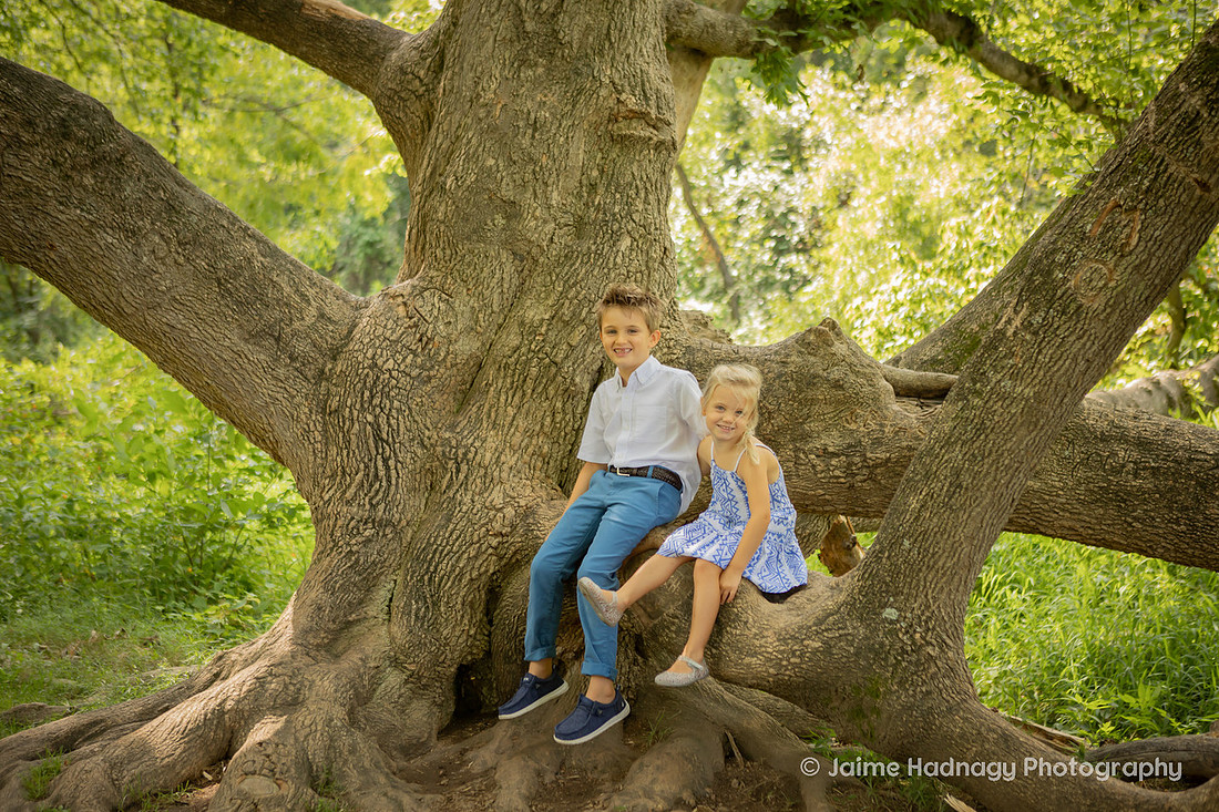 Family Portrait with Big Tree | Asheville Photographer