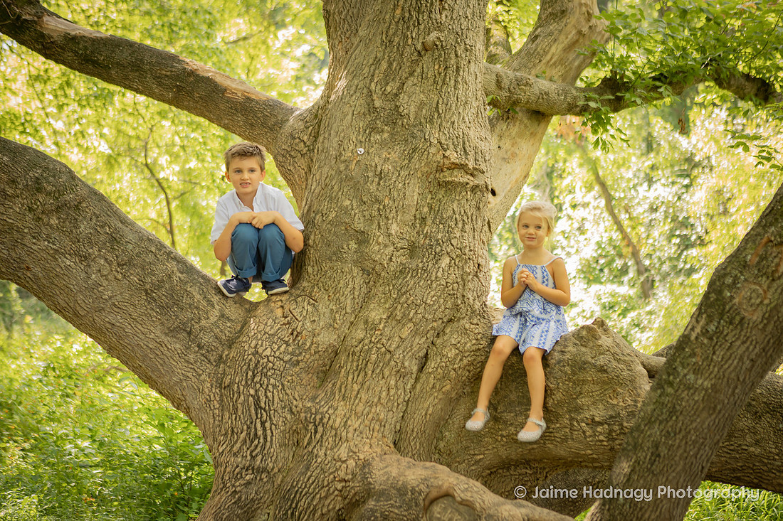 Family Portrait with Big Tree | Asheville Photographer