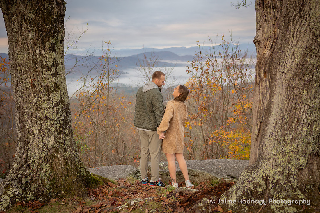 Engagement Photos in Hendersonville, NC