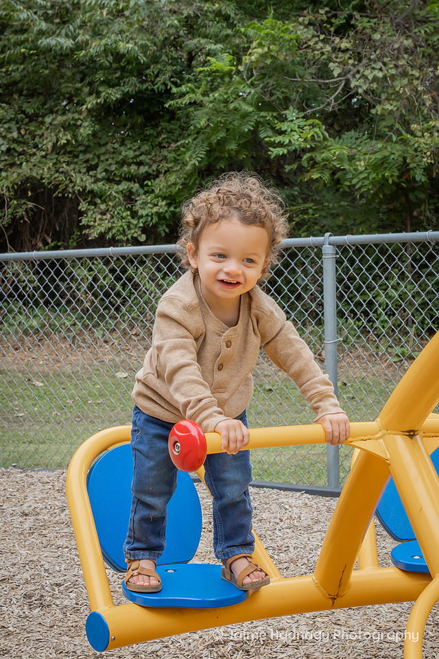 Extended Family Photos in the Park | Asheville Professional Photographer