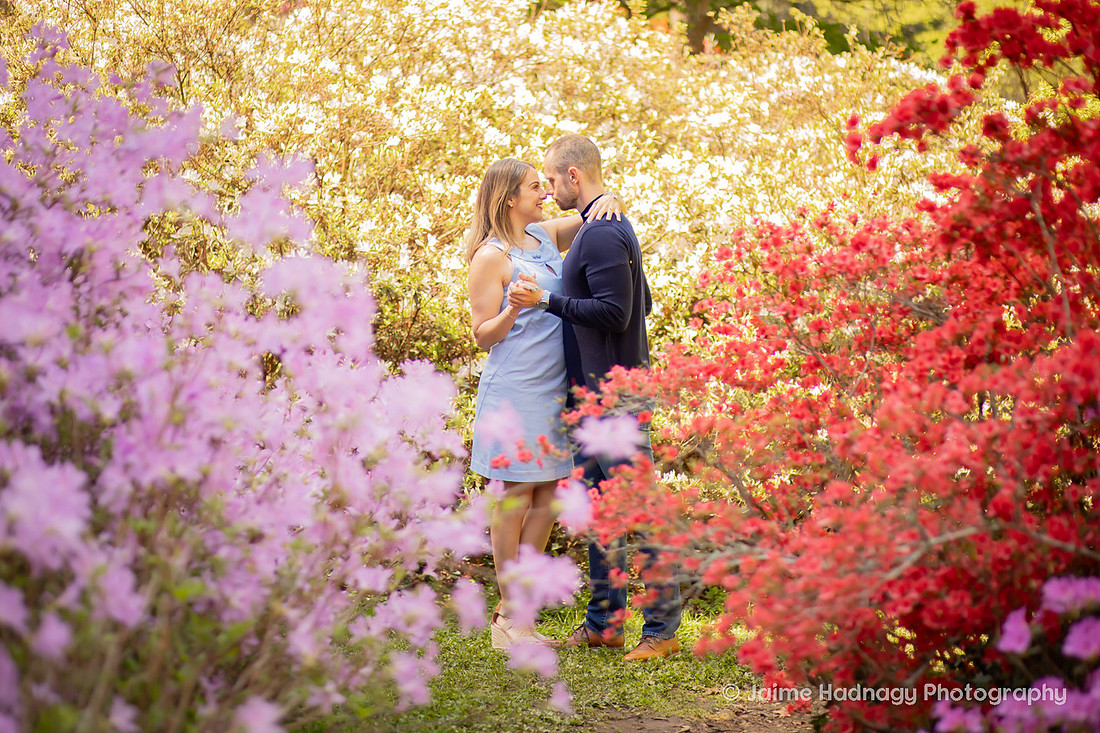 Asheville Engagement Photographer Session at Biltmore Estate Gardens