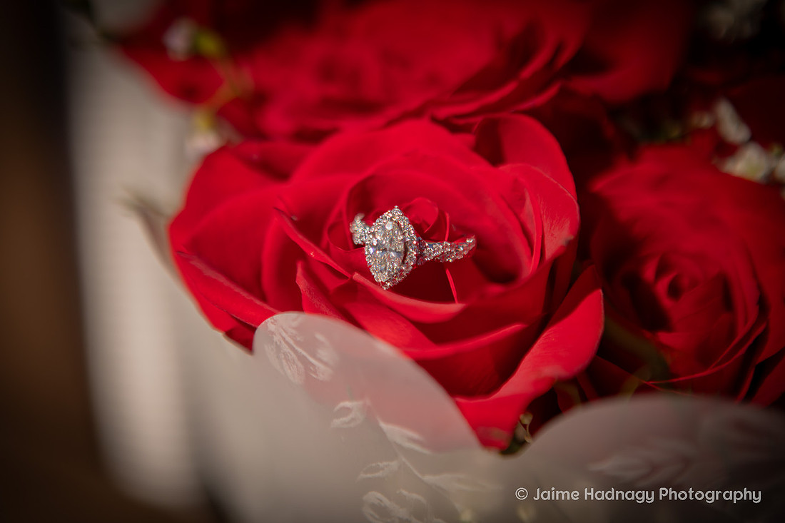 Proposal at Biltmore House