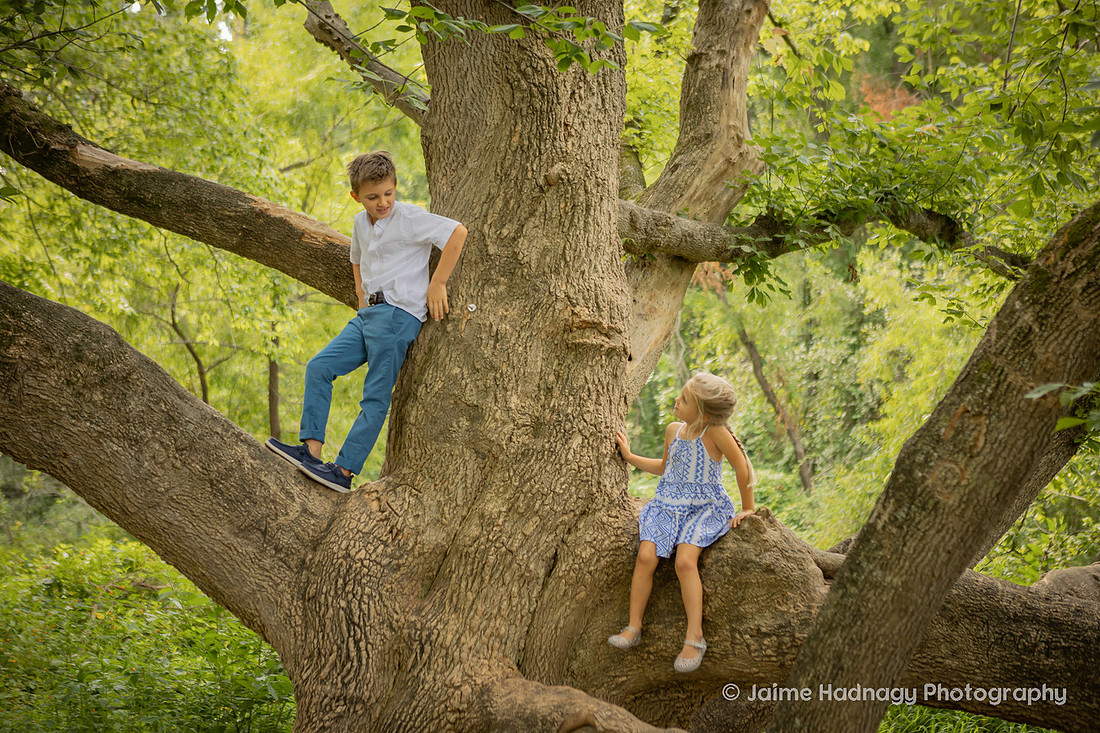 Family Portrait with Big Tree | Asheville Photographer