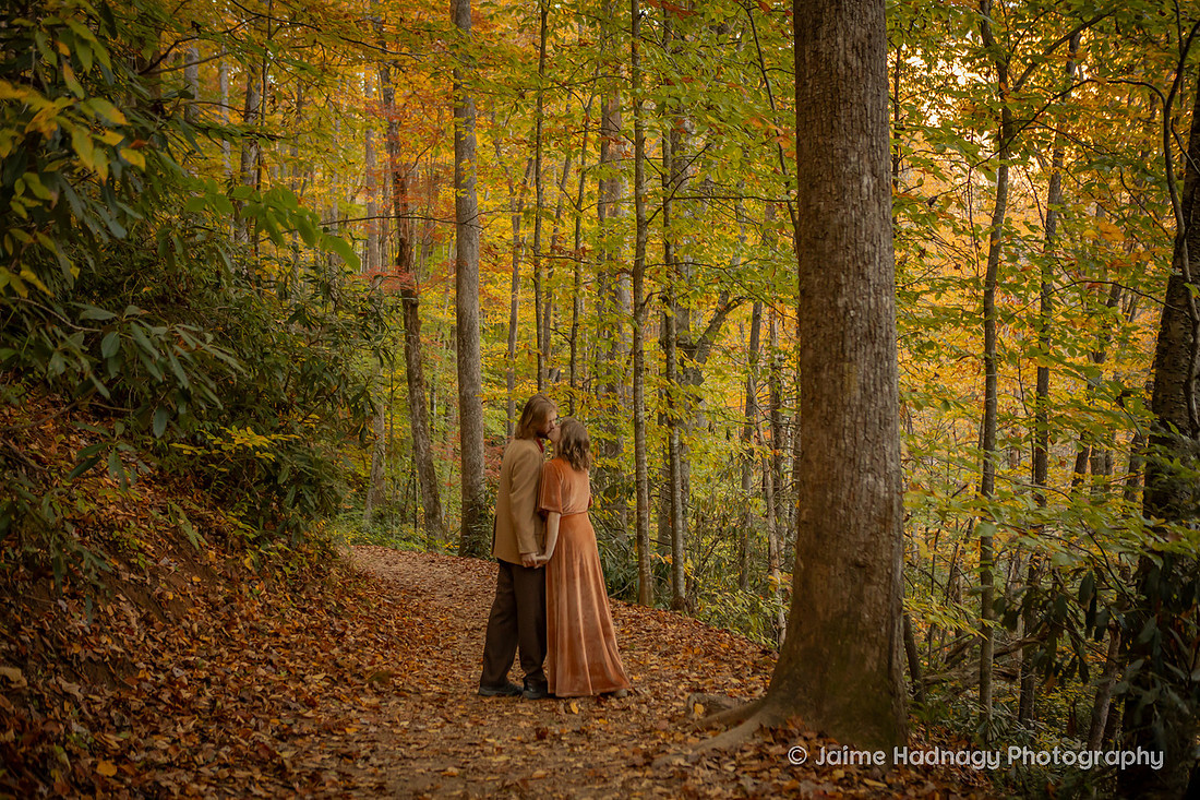 Engagement Photos in the Forest in Western NC | Photography