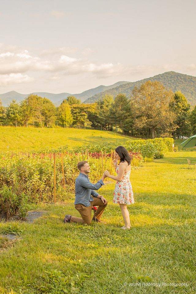 Surprise Proposal at Pick Your Own Flower Farm | Asheville Photographer