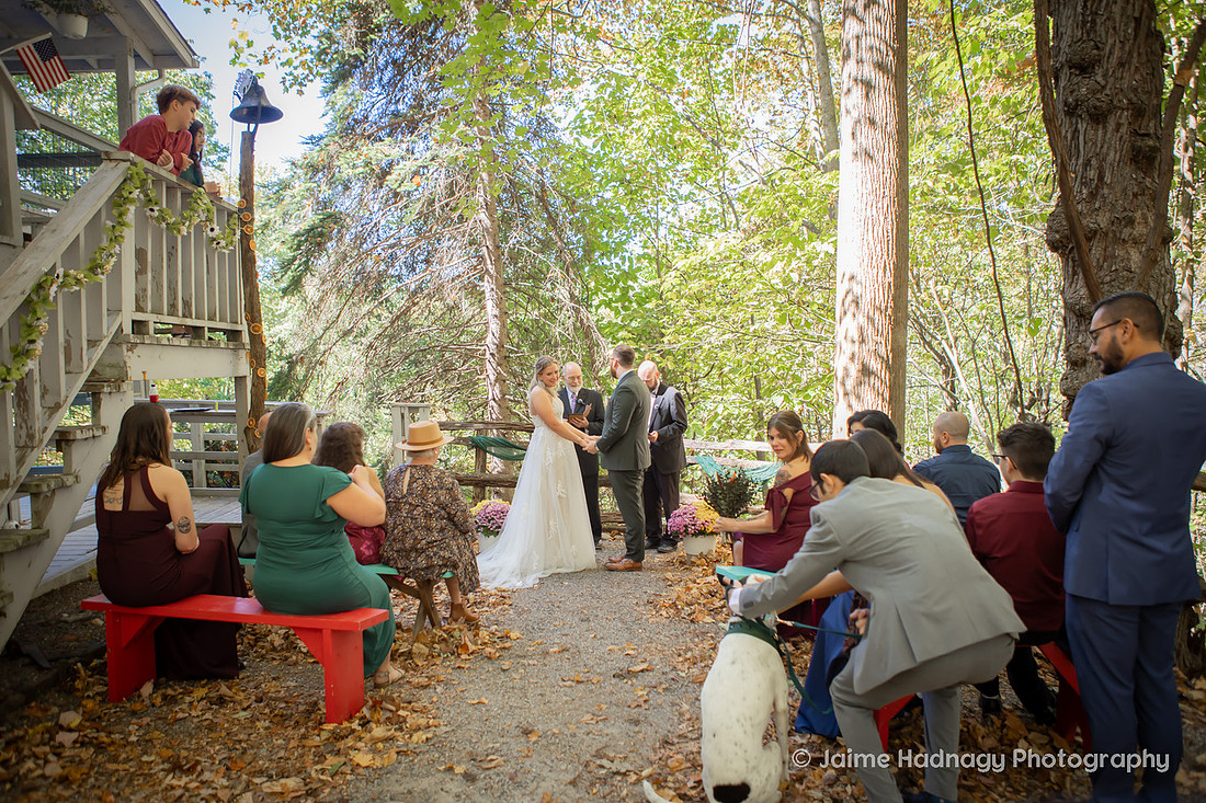 Small Family Wedding at Cabin in the mountains | Asheville Photographer