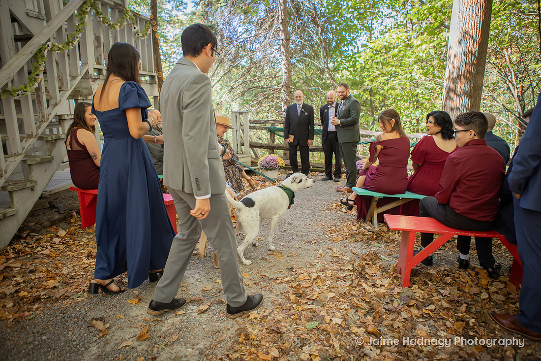 Micro Wedding in WNC mountain Cabin | Asheiville Elopement Photographer