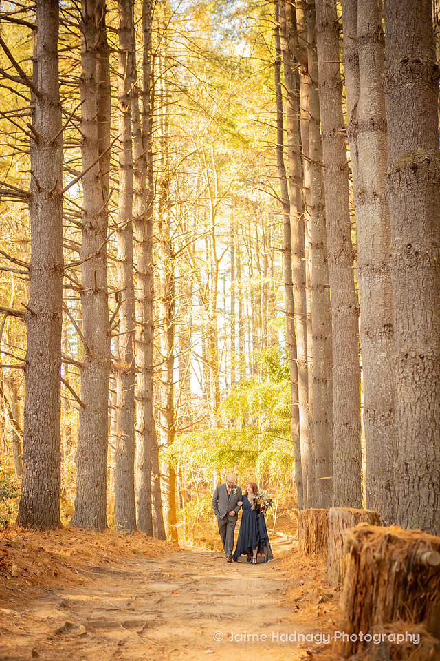 Outdoor Fall Wedding in the Forest | Asheville Wedding Photographer