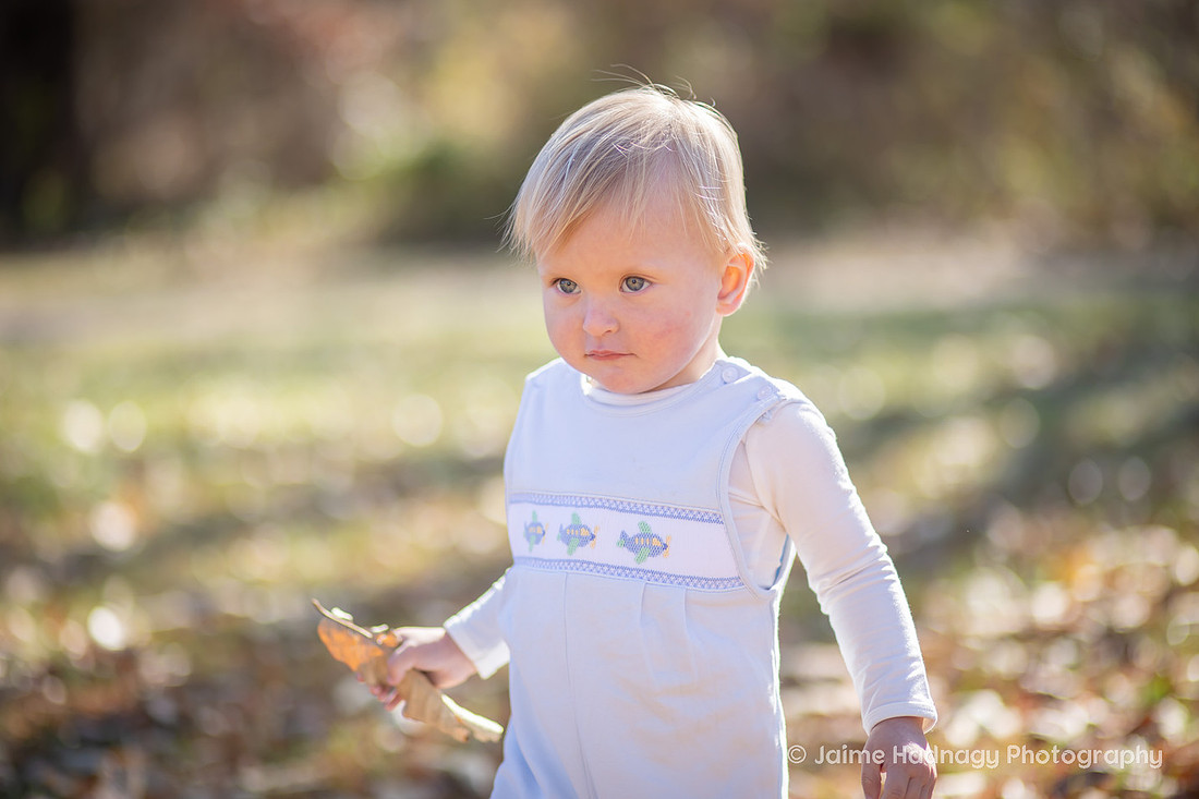 Family Photography in Asheville with One Year Old at Beaver Lake and the Bird Sanctuary