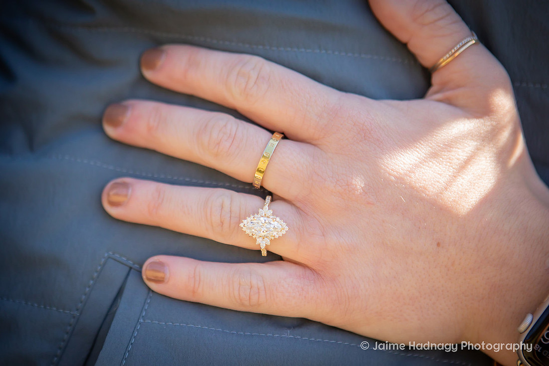 Vineyard Proposal | Asheville Engagement Photographer