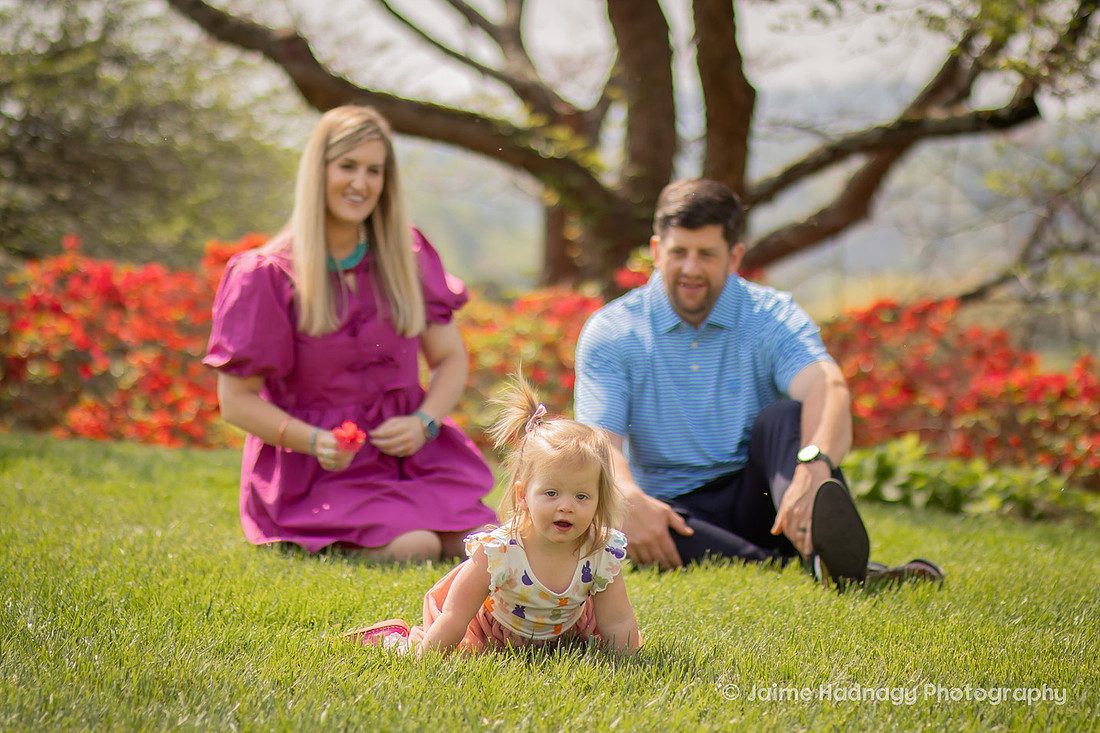 Family Photos with Toddler on a Swing | Asheville Family Photographer