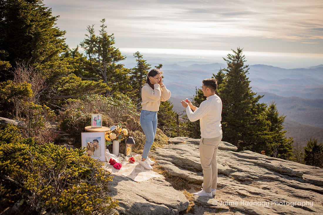 Surprise Proposal in the mountains in WNC