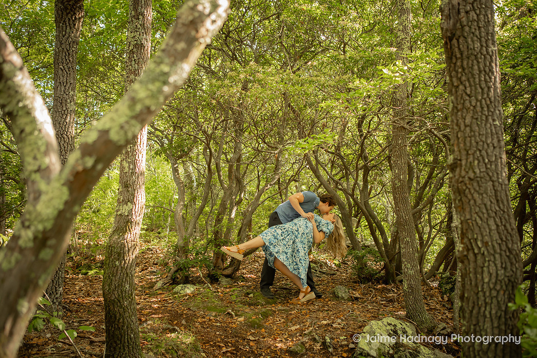Forest Engagement Photos | Asheville Photographer